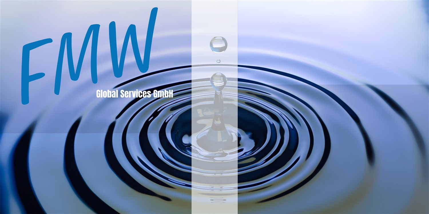 FMW Global Servides