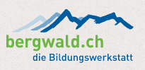 bergwald